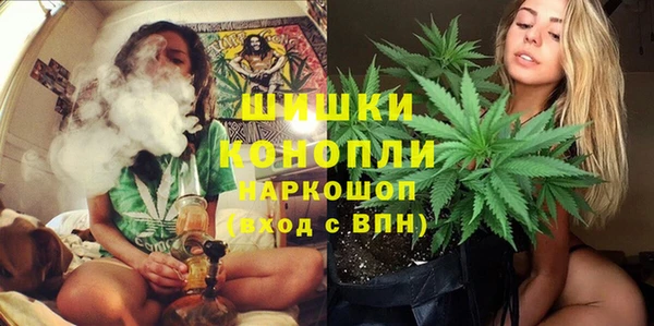 первитин Богородицк