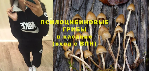 ECSTASY Богородск