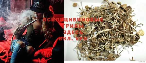 первитин Богородицк