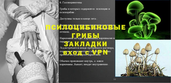 ECSTASY Богородск