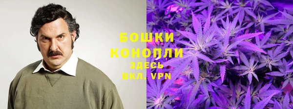 ECSTASY Богородск