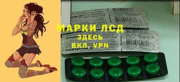 ECSTASY Богородск