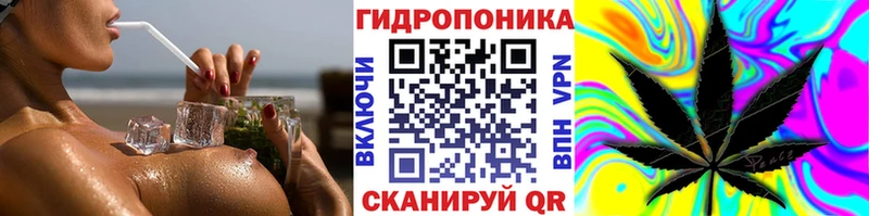 Конопля марихуана  Мезень 